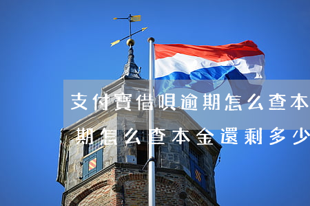 支付寶借唄逾期怎么查本金-支付寶借唄逾期怎么查本金還剩多少
