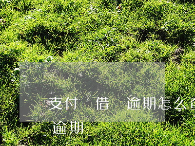 支付寶借唄逾期怎么查看（怎么查詢螞蟻借唄逾期）