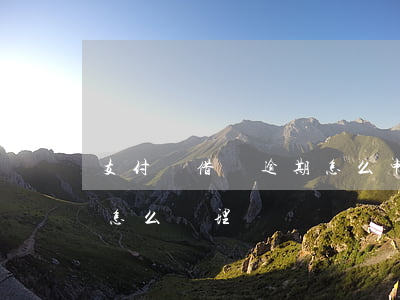 支付寶借唄逾期怎么申訴(螞蟻借唄逾期他們怎么處理)