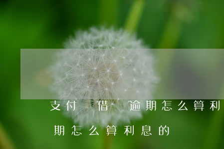 支付寶借唄逾期怎么算利息-支付寶借唄逾期怎么算利息的