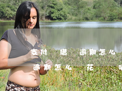 支付寶借唄逾期怎么還花唄錢-支付寶借唄逾期怎么還花唄錢呢