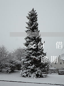 支付寶借唄逾期怎樣協(xié)商(螞蟻借唄逾期還不上可以協(xié)商還款嗎)