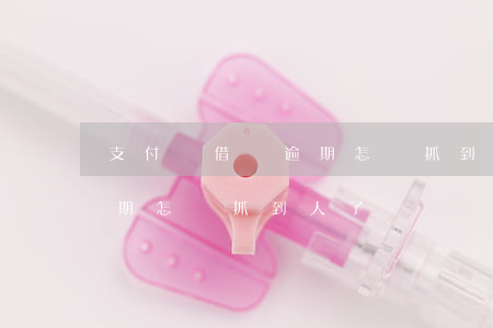 支付寶借唄逾期怎樣抓到人-支付寶借唄逾期怎樣抓到人了