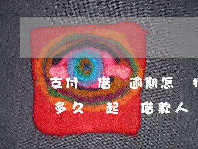 支付寶借唄逾期怎樣抓到人(支付寶借唄逾期多久會起訴借款人?)