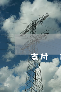 支付寶借唄逾期截圖生成器-借唄逾期的截圖