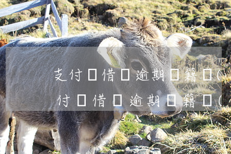 支付寶借唄逾期戶籍調(diào)查-支付寶借唄逾期戶籍調(diào)查能通過嗎