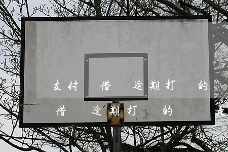 支付寶借唄逾期打來的電話是多少-支付寶借唄逾期打來的電話是多少號