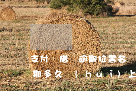 支付寶借唄逾期拉黑名單嗎-支付寶借唄逾期多久會(huì)上黑名單