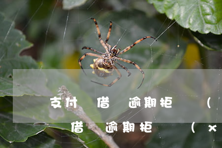 支付寶借唄逾期拒絕協(xié)商-支付寶借唄逾期拒絕協(xié)商還款