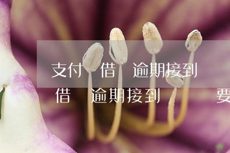支付寶借唄逾期接到電話說要上門-支付寶借唄逾期接到電話說要上門給律師函