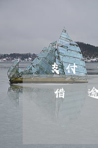 支付寶借唄逾期(支付寶借唄逾期多久上征信?借唄逾期幾天上征信)