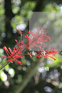 支付寶借唄逾期政策規(guī)定-支付寶借唄逾期政策規(guī)定最新