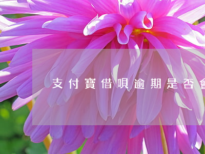 支付寶借唄逾期是否會(huì)上征信