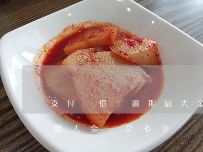 支付寶借唄逾期最大金額-支付寶借唄逾期最大金額是多少