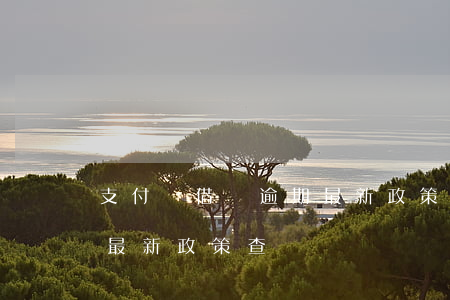 支付寶借唄逾期最新政策-支付寶借唄逾期最新政策查詢