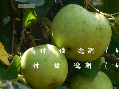 支付寶借唄逾期會(huì)上信諾嗎-支付寶借唄逾期會(huì)上信諾嗎