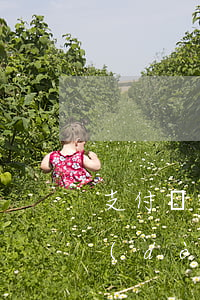 支付寶借唄逾期會(huì)從銀行卡自動(dòng)扣款嗎-支付寶借唄逾期會(huì)從銀行卡自動(dòng)扣款嗎安全嗎