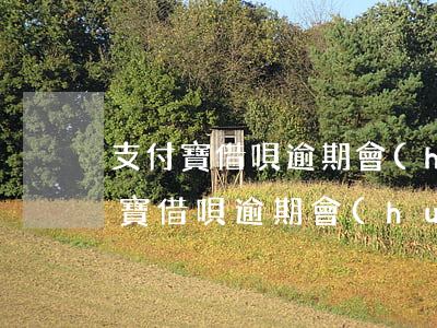 支付寶借唄逾期會(huì)打電話-支付寶借唄逾期會(huì)打電話給家里人嗎?