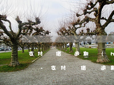 支付寶借唄逾期會(huì)扣銀行卡的錢嗎-支付寶借唄逾期會(huì)扣銀行卡的錢嗎安全嗎