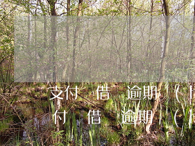 支付寶借唄逾期會(huì)找朋友嗎-支付寶借唄逾期會(huì)找朋友嗎安全嗎
