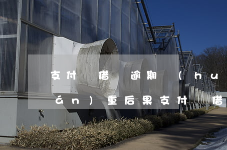 支付寶借唄逾期會(huì)有什么嚴(yán)重后果 支付寶借唄逾期有什么影響? 佩多博客