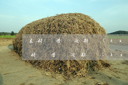 支付寶借唄逾期會(huì)爆通信錄嗎(支付寶借唄逾期會(huì)爆通信錄嗎)