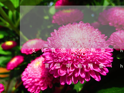 支付寶借唄逾期會(huì)被判刑嗎-支付寶借唄逾期會(huì)被判刑嗎知乎
