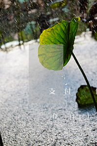 支付寶借唄逾期會(huì)被暗訪(fǎng)嗎