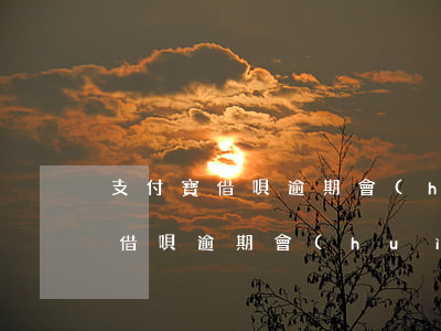 支付寶借唄逾期會(huì)被起訴 支付寶借唄逾期會(huì)被起訴立案到本地市公安局嗎