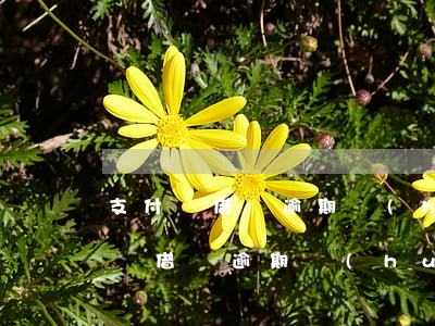 支付寶借唄逾期會(huì)走訪嗎-支付寶借唄逾期會(huì)走訪嗎知乎