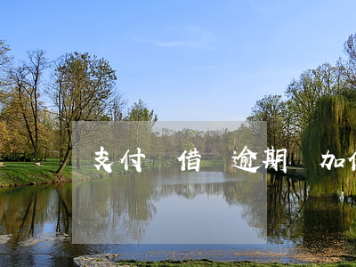 支付寶借唄逾期會加倍罰金嗎(借唄逾期會罰錢嗎?)