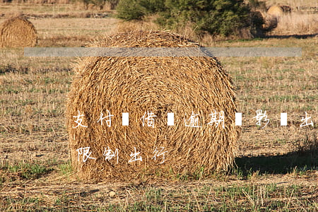 支付寶借唄逾期會影響出行嗎(借唄逾期多久限制出行)