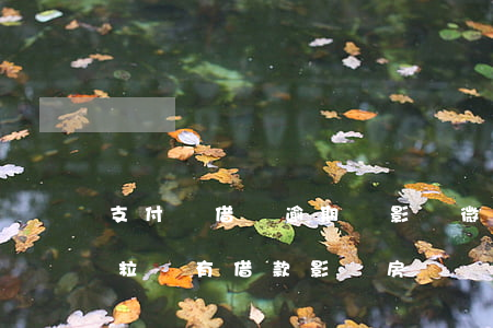 支付寶借唄逾期會影響微粒貸 支付寶借唄,微粒貸有借款影響房貸嗎