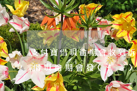 支付寶借唄逾期會收到訴前通知嗎-支付寶借唄逾期會發(fā)信息么