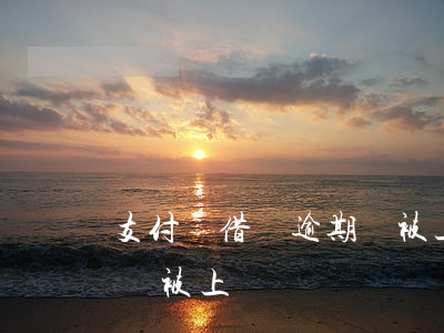 支付寶借唄逾期會被上門嗎(支付寶借唄逾期會被上門嗎)