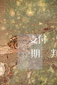 支付寶借唄逾期會起訴嗎（支付寶螞蟻借唄逾期會判刑嗎）