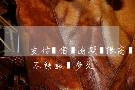 支付寶借唄逾期會限高嗎-支付寶借唄逾期不能超過多久?