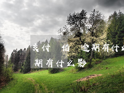 支付寶借唄逾期有什么影響嗎(支付寶借唄逾期有什么影響嗎)