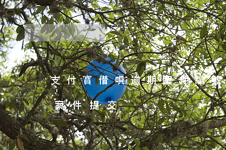 支付寶借唄逾期案件編號(借唄逾期多長時間案件提交)