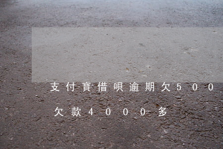 支付寶借唄逾期欠5000(支付寶借唄逾期欠款4000多)