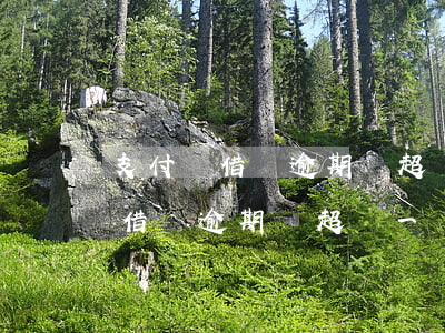 支付寶借唄逾期沒超過一個月還清-支付寶借唄逾期沒超過一個月還清會怎么樣
