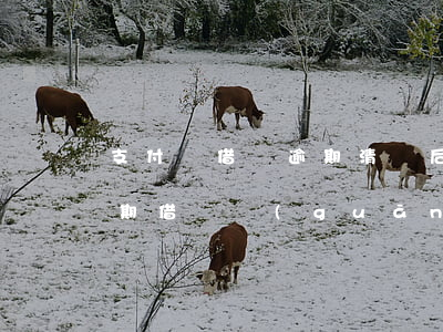 支付寶借唄逾期清還后多久能開通(支付寶逾期借唄關(guān)閉,還清后是否可以開通)