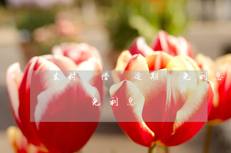 支付寶借唄逾期減免利息(支付寶借唄怎么申請減免利息)