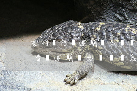 支付寶借唄逾期無力償還會怎么樣-支付寶借唄逾期無力償還會怎么樣嗎