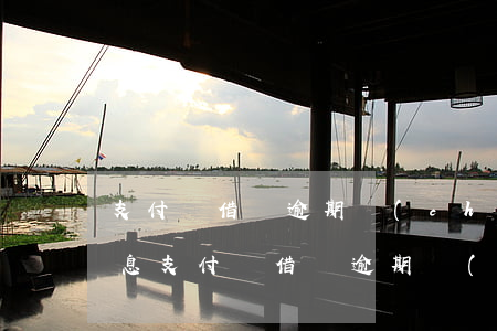 支付寶借唄逾期產(chǎn)生4千元罰息(支付寶借唄逾期產(chǎn)生4千元罰息)