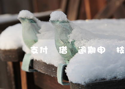 支付寶借唄逾期申訴技巧