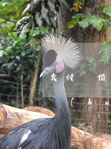 支付寶借唄逾期申訴方法(支付寶借唄逾期了會(huì)起訴嗎)