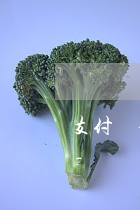 支付寶借唄逾期申請(qǐng)延期還款-螞蟻借唄申請(qǐng)延期還款