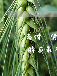 支付寶借唄逾期的后果6-支付寶借唄逾期的后果有哪些?上征信嗎