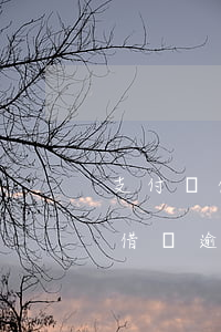 支付寶借唄逾期的后果會扣銀行卡-支付寶借唄逾期的后果會扣銀行卡里的錢嗎